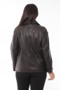 Женская кожаная куртка из натуральной кожи с воротником 8023541-5